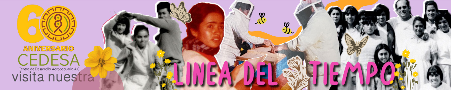Diseño sin título