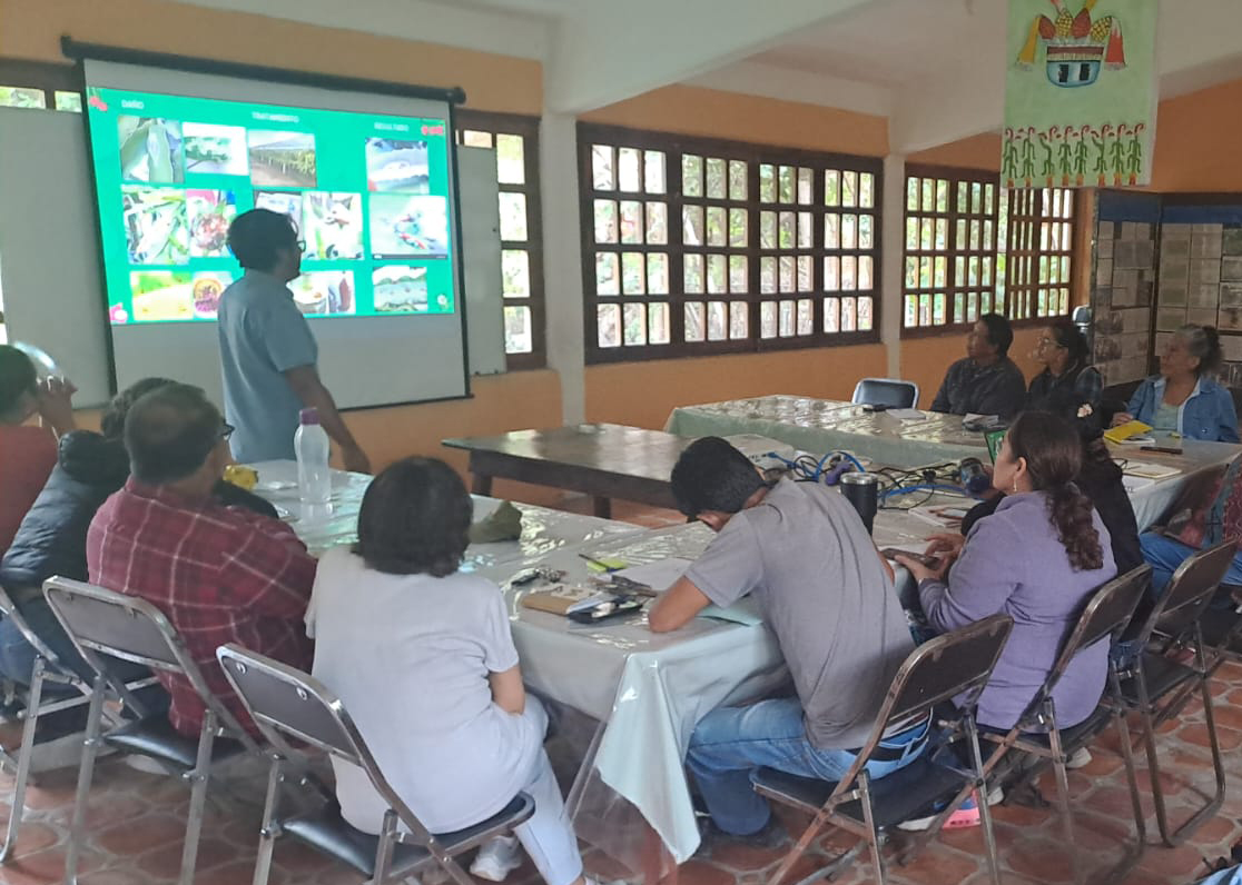Taller Pitahayas (1)