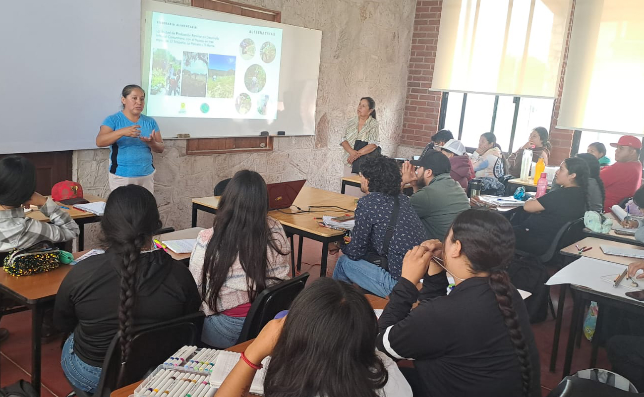 Universidad Benito Juárez (1)