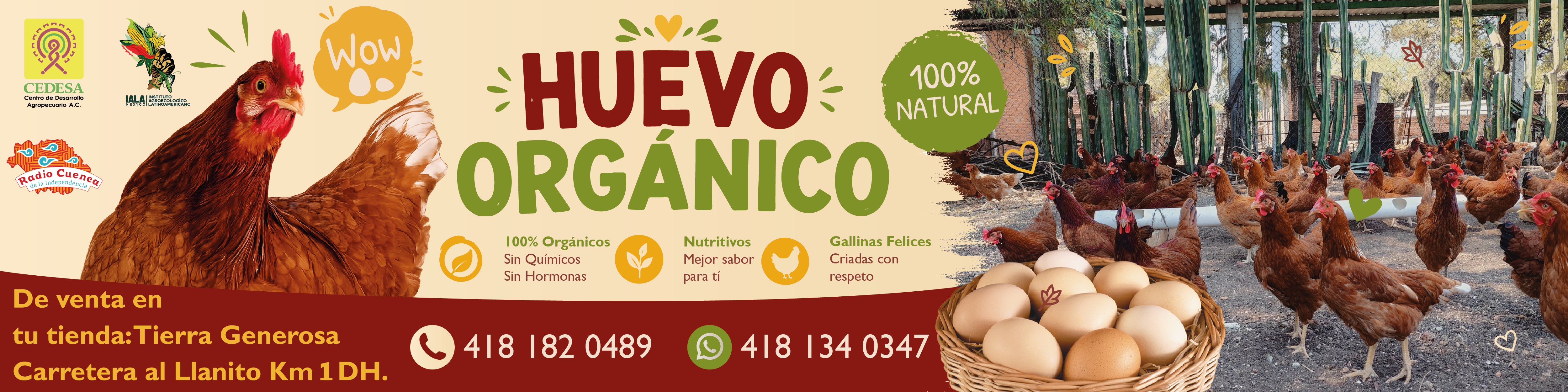 Banner_WEB_Huevo_Mesa de trabajo 1