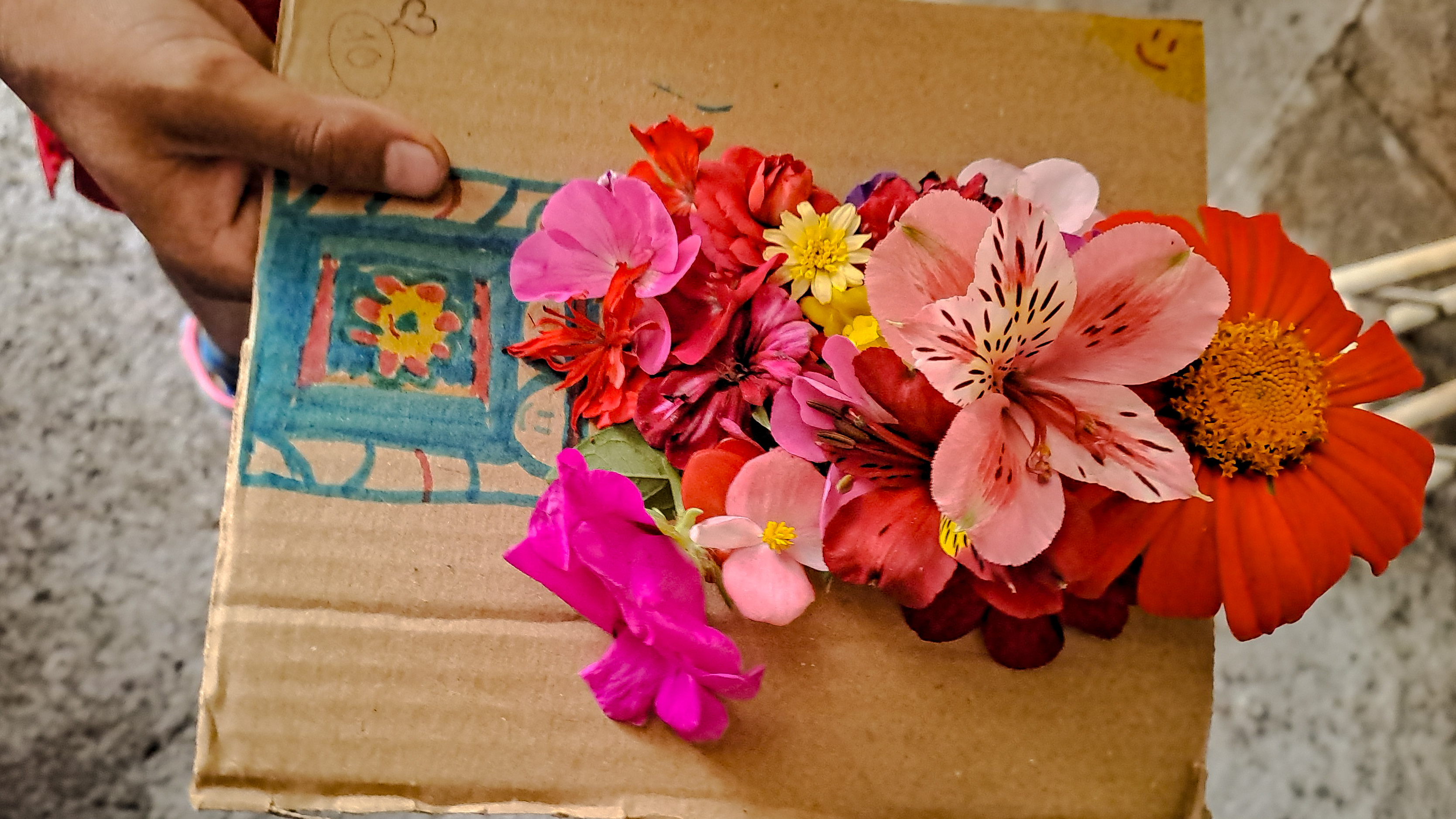 260821_Niñeces-flores-Tinaja (2)
